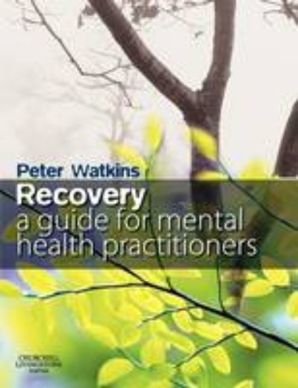 Picture of Recovery: A Guide for Mental Health Practitioners