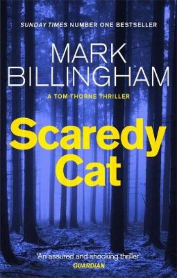 Picture of Scaredy Cat
