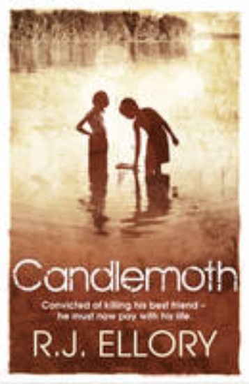 Picture of Candlemoth