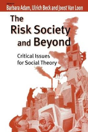 Picture of Risk Society and Beyond