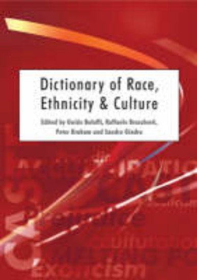 Picture of Dictionary of race,ethnicity & culture