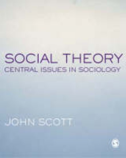 Picture of Social Theory