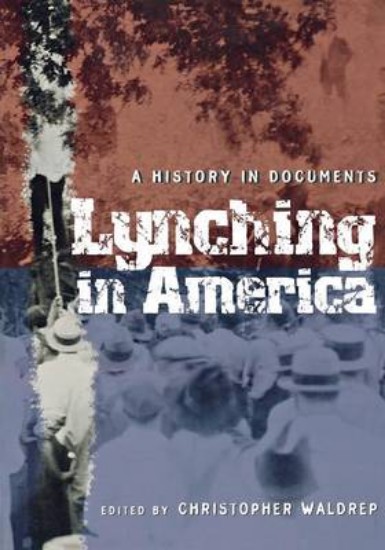 Picture of Lynching in America: A History in Documents