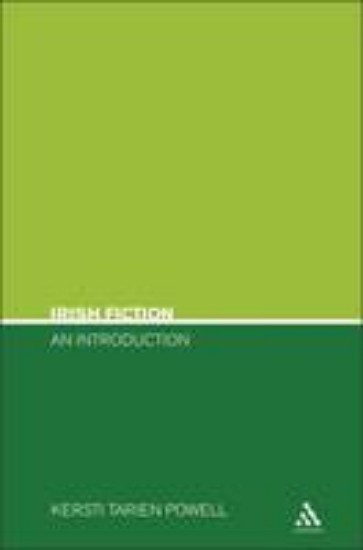Picture of Irish Fiction An Introduction