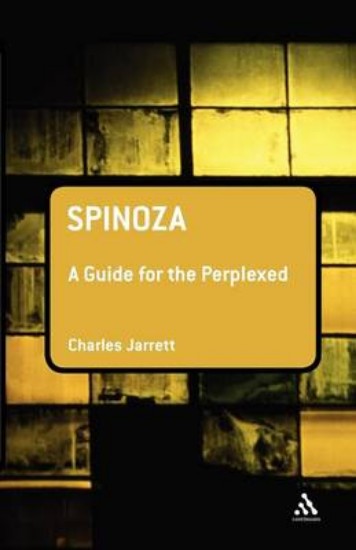 Picture of Spinoza
