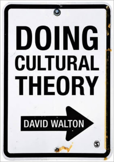 Picture of Doing Cultural Theory