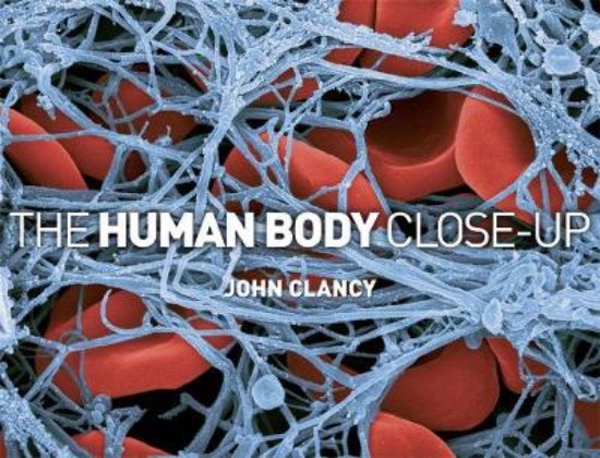 Picture of Human Body Close-up