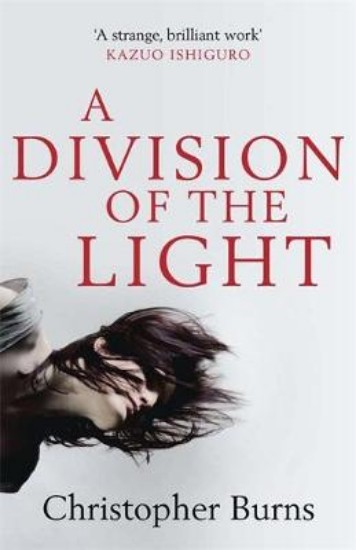 Picture of Division of the Light