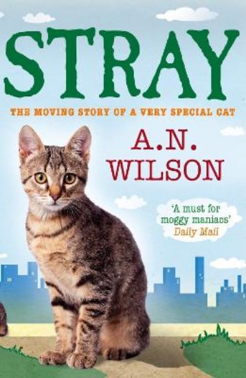 Picture of Stray: Moving Story Of A Special Cat