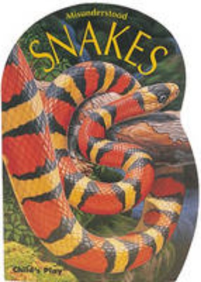 Picture of Misunderstood Snakes