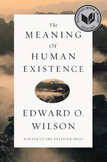 Picture of Meaning of Human Existence