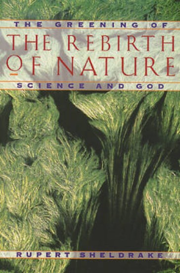 Picture of Greening of the Rebirth of Nature Science and God: The Greening of Science and God