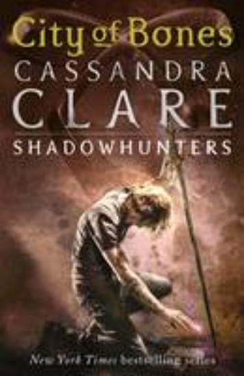 Picture of City of Bones