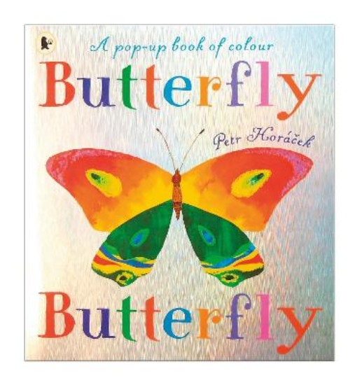 Picture of Butterfly, Butterfly
