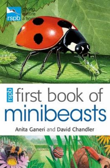 Picture of RSPB First Book of Minibeasts