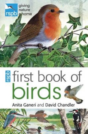 Picture of RSPB First Book of Birds