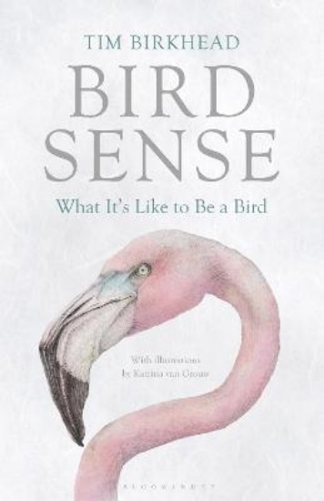 Picture of Bird sense: What it's like to be a bird