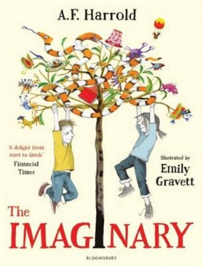 Picture of Imaginary