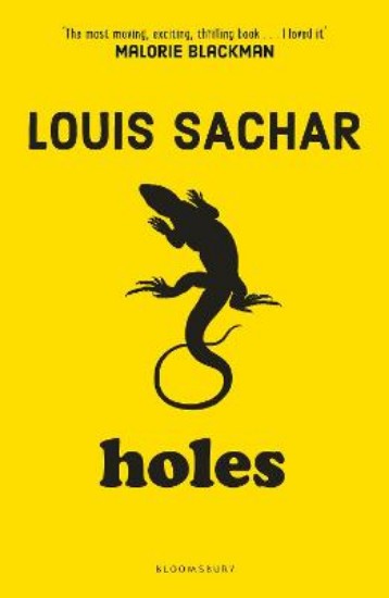 Picture of Holes