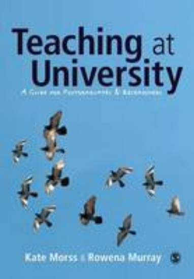 Picture of Teaching at University