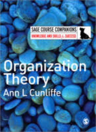 Picture of Organization Theory