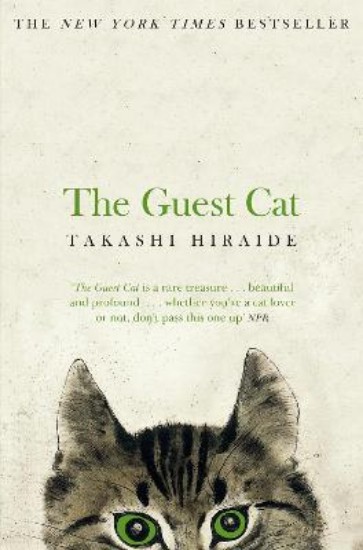 Picture of Guest Cat