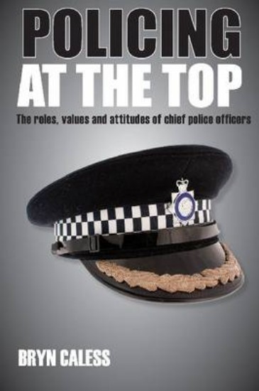 Picture of Policing at the Top: The Roles, Values and Attitudes of Chief Police Officers