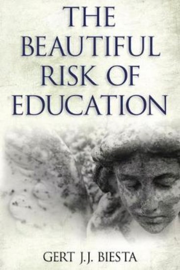 Picture of Beautiful Risk of Education
