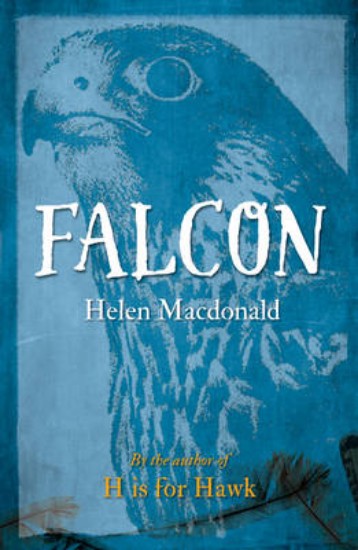 Picture of Falcon