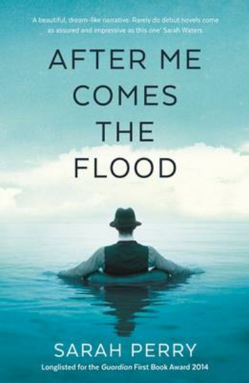 Picture of After Me Comes the Flood