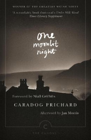 Picture of One Moonlit Night