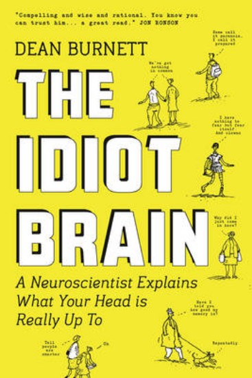 Picture of Idiot Brain  Neuroscientist Explains What Your Head is really up to