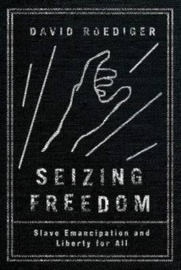Picture of Seizing Freedom