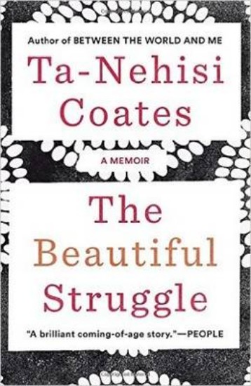 Picture of Beautiful Struggle: A Memoir