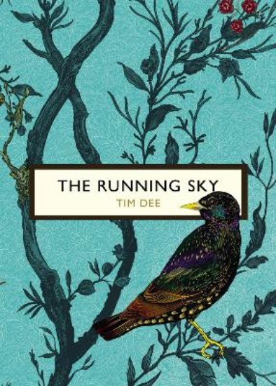 Picture of Running Sky (The Birds and the Bees)