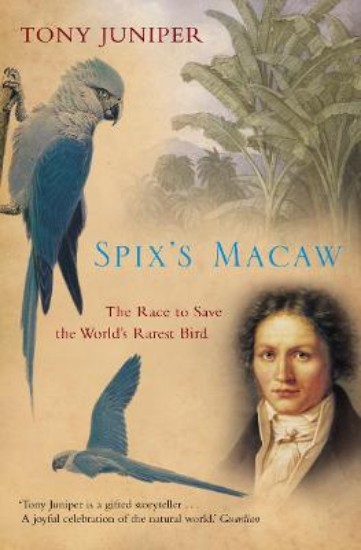 Picture of Spix's Macaw: The Race to Save the World's Rarest Bird