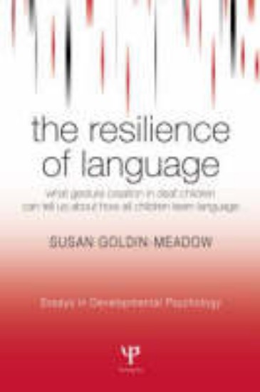 Picture of Resilience of Language, The