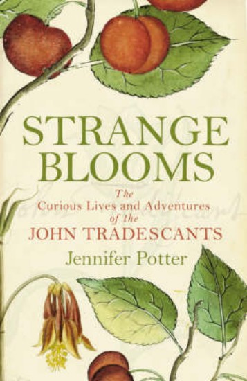 Picture of Strange Blooms