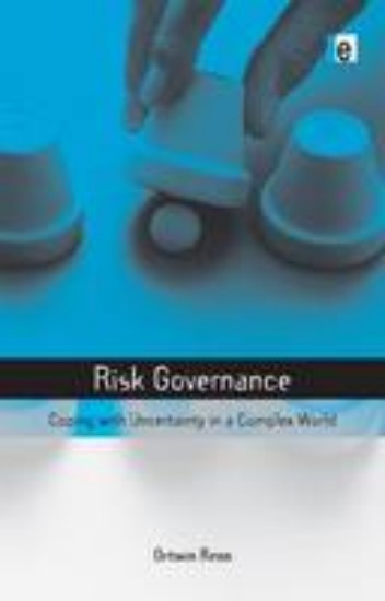 Picture of Risk Governance