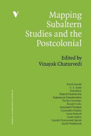 Picture of Mapping Subaltern Studies and the Postcolonial