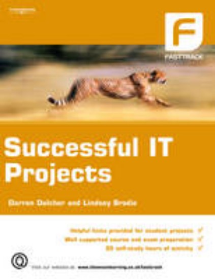 Picture of Successful IT Projects
