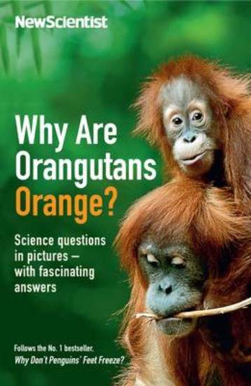 Picture of Why Are Orangutans Orange?