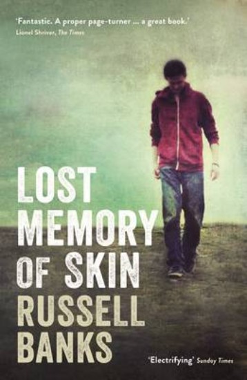 Picture of Lost Memory of Skin