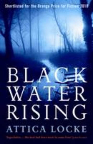 Picture of Black Water Rising