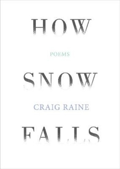Picture of How Snow Falls