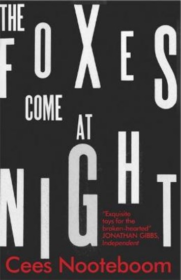 Picture of Foxes Come at Night