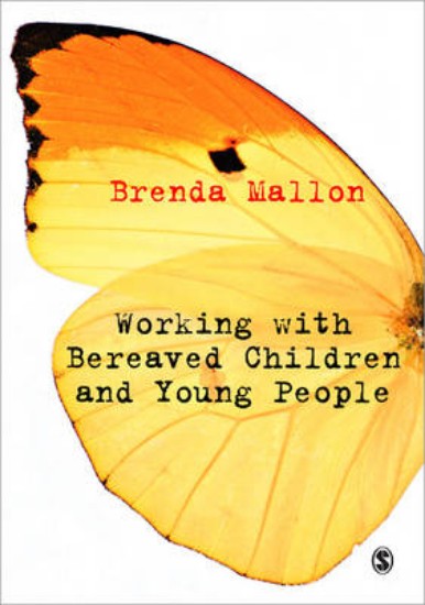 Picture of Working with Bereaved Children and Young People