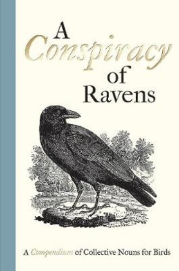 Picture of Conspiracy of Ravens: A Compendium of Collective Nouns for Birds