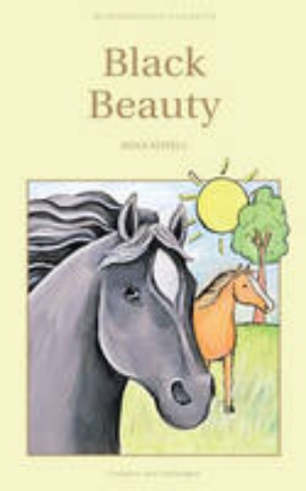 Picture of Black Beauty
