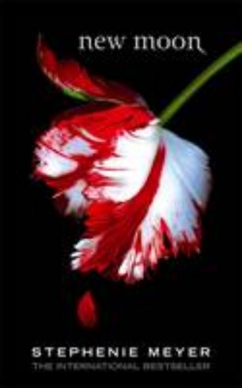 Picture of New Moon